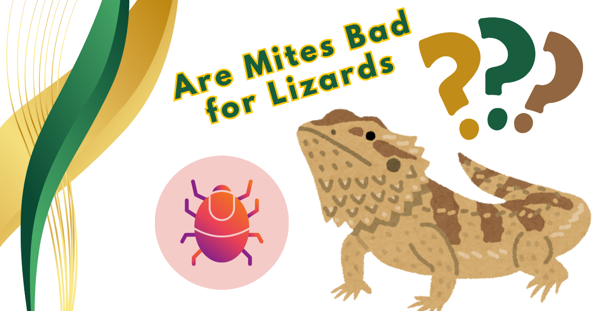 Are Mites Bad for Lizards