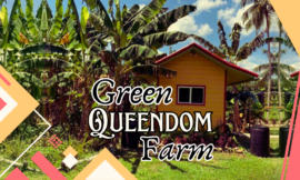 7 Amazing Facts About Green Queendom Farm and Its Sustainable Mission