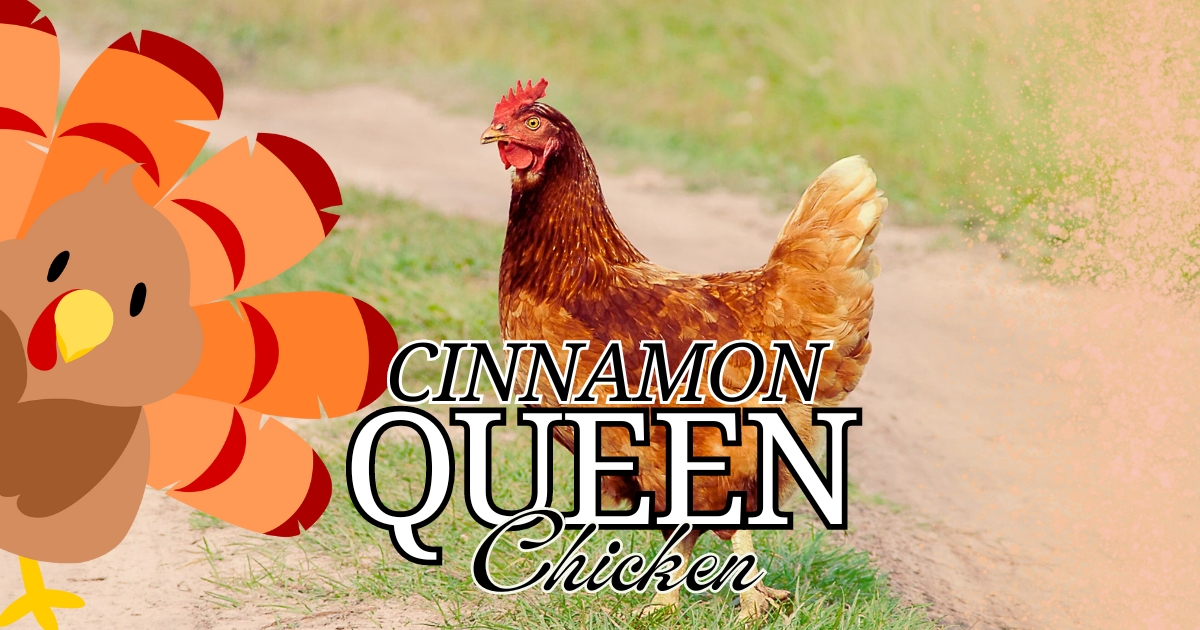 cinnamon queen chicken