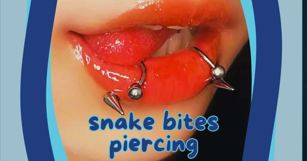 Read more about the article 5 Key Facts You Should Know About Snake Bites Piercing