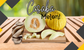 5 Surprising Health Benefits of Casaba Melon You Need to Know