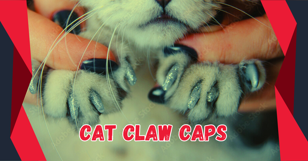 Cat Claw Caps