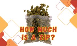 7 Must-Know Facts About How Much is a Zip: A Guide for Cannabis Consumers