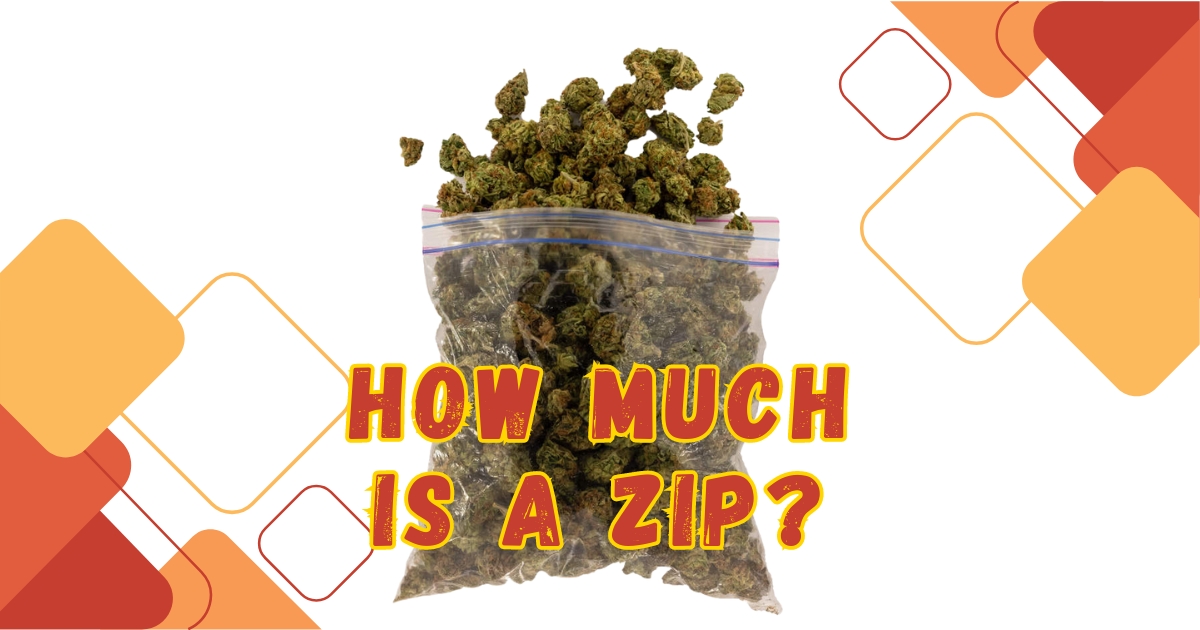 How much is a zip