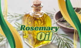 How to Make Rosemary Oil at Home: A Simple Step-by-Step Guide