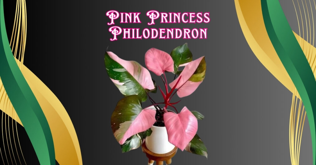 Read more about the article 5 Essential Care Tips for Growing a Healthy Pink Princess Philodendron