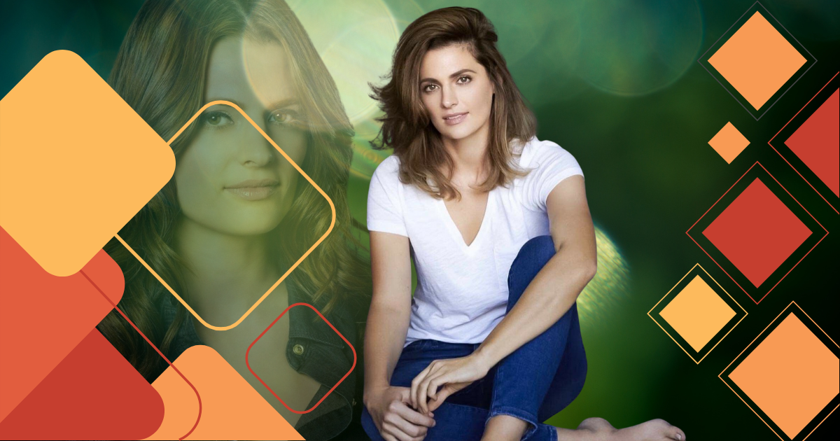 Stana Katic Net Worth