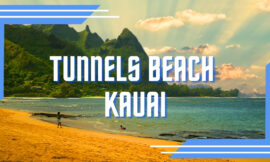 7 Incredible Reasons to Visit Tunnels Beach Kauai: The Ultimate Guide