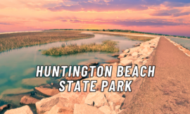 10 Best Things to Do at Huntington Beach State Park in 2024