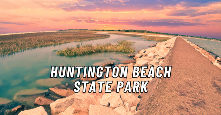 Read more about the article 10 Best Things to Do at Huntington Beach State Park in 2024