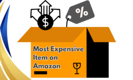 Most Expensive Item on Amazon: Discover the Ultimate High-End Products in 2024!